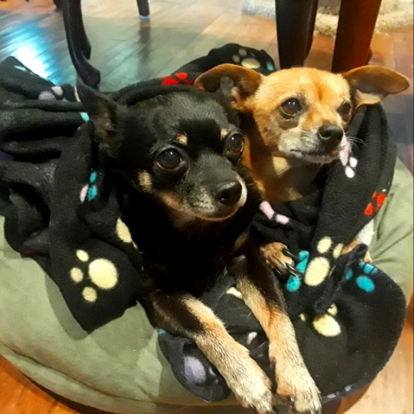 My babies and I 😻 - Picture 3 of 5